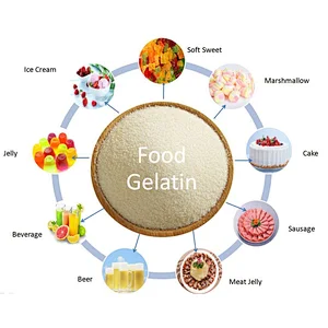 Gelatin halal Food Grade Bovine Beef Gelatin 300 Bloom